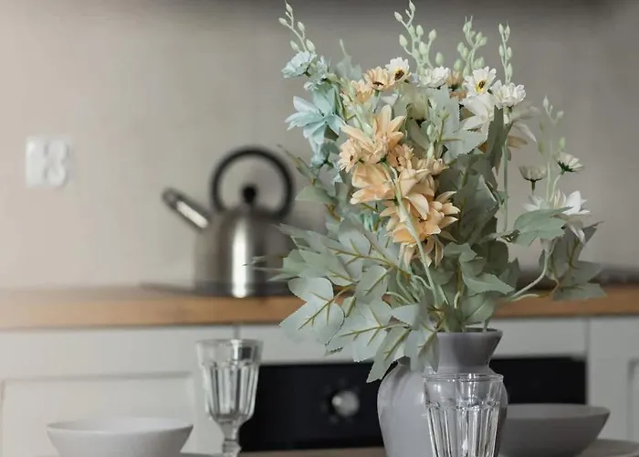 Bright In The Centre Of By Renters Katovice