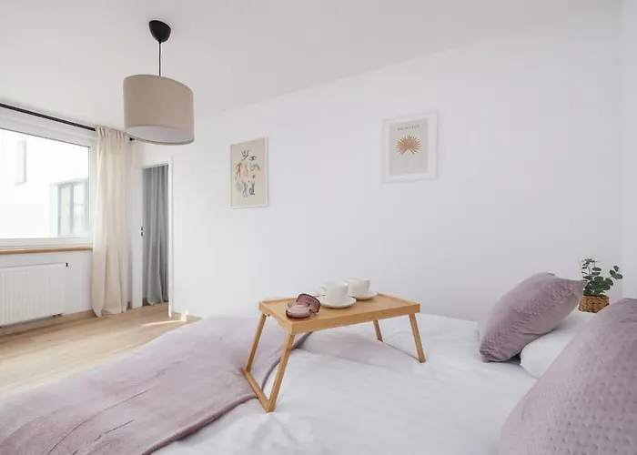 Bright In The Centre Of By Renters * Katovice